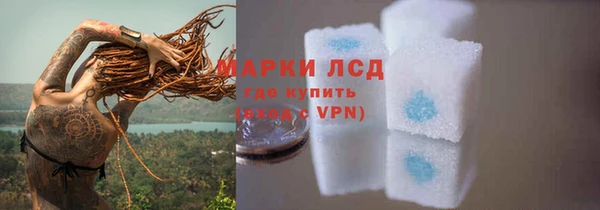 сатива Невель