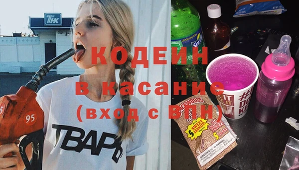 ГАЛЛЮЦИНОГЕННЫЕ ГРИБЫ Лагань