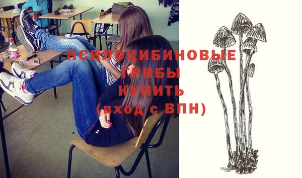 герыч Ладушкин
