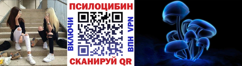 Галлюциногенные грибы MAGIC MUSHROOMS как найти закладки Никольское